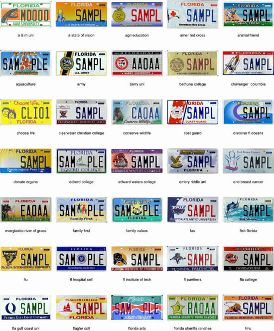 Florida Speciality Plates
